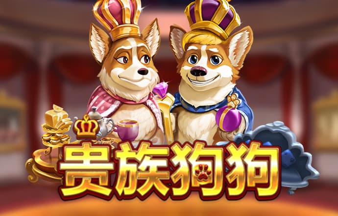 龙珠直播体育app下载